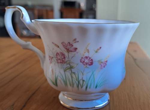 Royal Albert Wild Flower Of The Month Duo - November