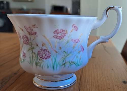 Royal Albert Wild Flower Of The Month Duo - November