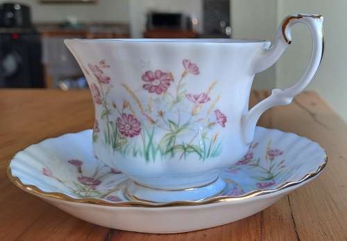 Royal Albert Wild Flower Of The Month Duo - November