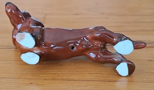 Dachshund - Lucky dip