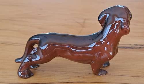 Dachshund - Lucky dip