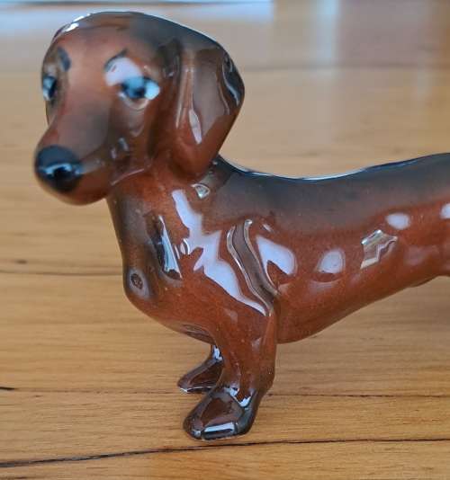 Dachshund - Lucky dip