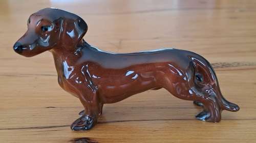 Dachshund - Lucky dip
