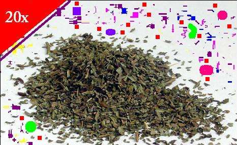 Salvia Divinorum 2000mg (2 Grams) 20x Extract