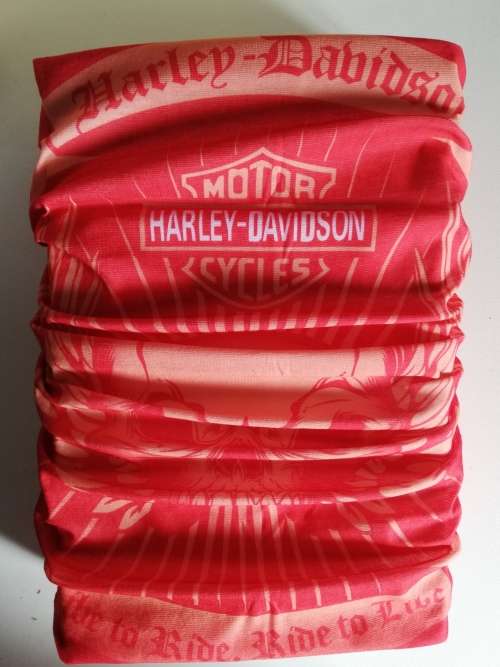 ADULT FACE BUFF HARLEY DAVIDSON - Seamless