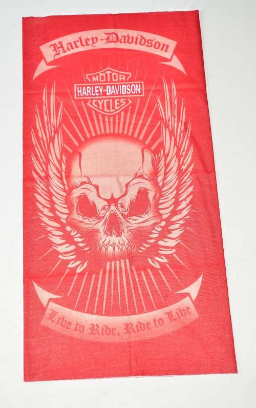 ADULT FACE BUFF HARLEY DAVIDSON - Seamless