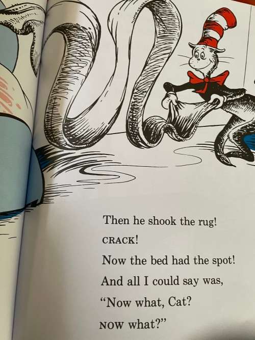 Dr Seuss The Cat in the Hat comes Back