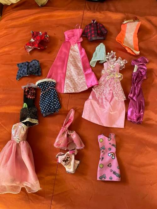 Barbie carry case and clothes as shown