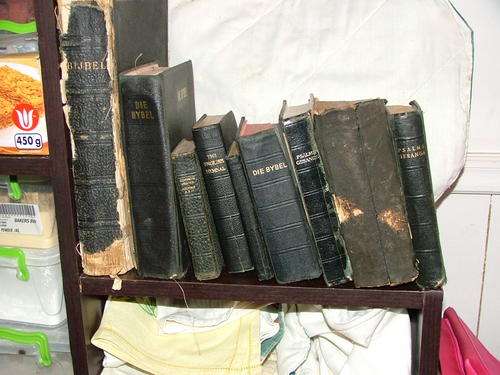 8 VINTAGE Bibles (one dating to 1907)