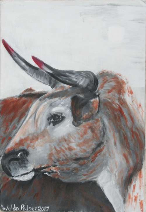 Stunning!*Original Waldo Pelser(1970-) "Nguni - Labola" size: 560 x 350 mm - Large - on Canvas