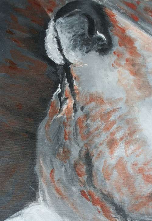 Stunning!*Original Waldo Pelser(1970-) "Nguni - Labola" size: 560 x 350 mm - Large - on Canvas