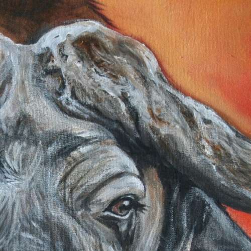 Stunning!*Original Annie Brand (1970-) "Buffalo - Hope" size: 65 x 41cm -Large - on Canvas