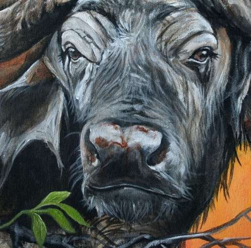 Stunning!*Original Annie Brand (1970-) "Buffalo - Hope" size: 65 x 41cm -Large - on Canvas