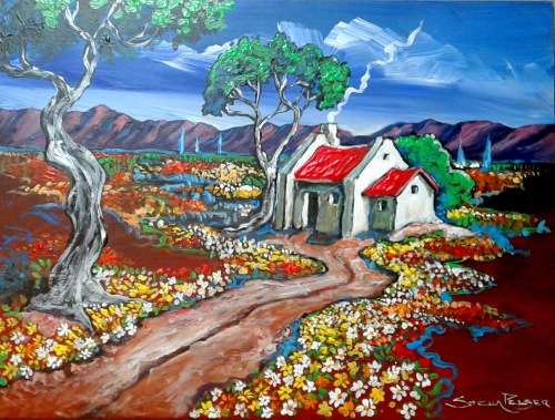 Bolandse Rooidak Huisie