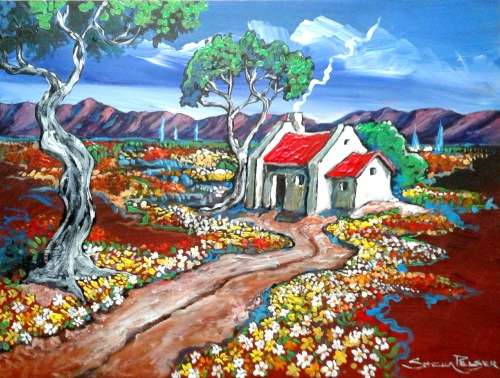 Bolandse Rooidak Huisie