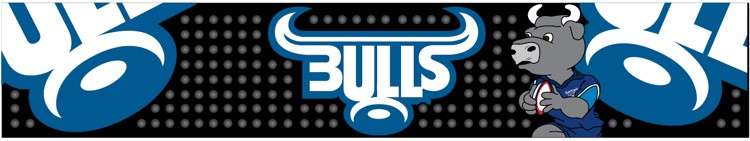 Blue Bulls Bar Mat