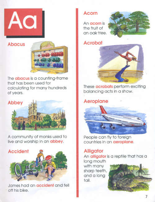 [B:2:S:CC]-My First Picture Dictionary - Unknown