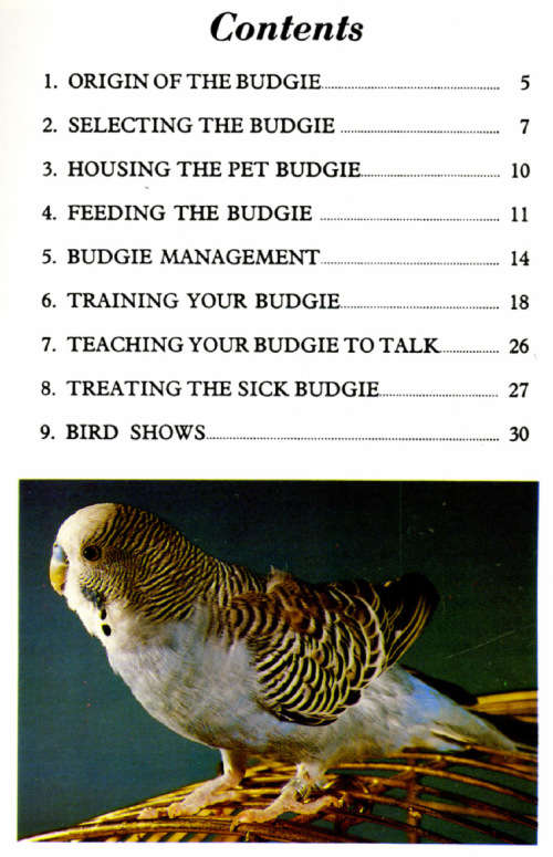 [B:2:S:CC]-Budgies in Color - Ernest H Hart