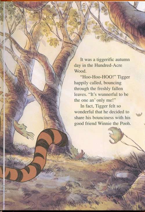 [B:2:S:CC]-Walt Disney Pictures presents The Tigger Movie - Unknown