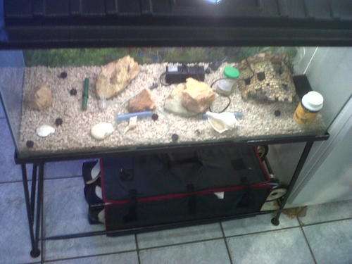 Large Tropical fish tank (Collection Only)