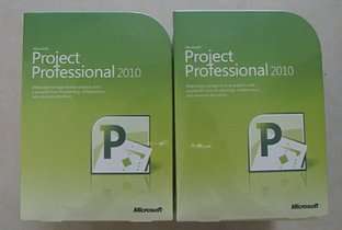 Microsoft Project Professional 2010