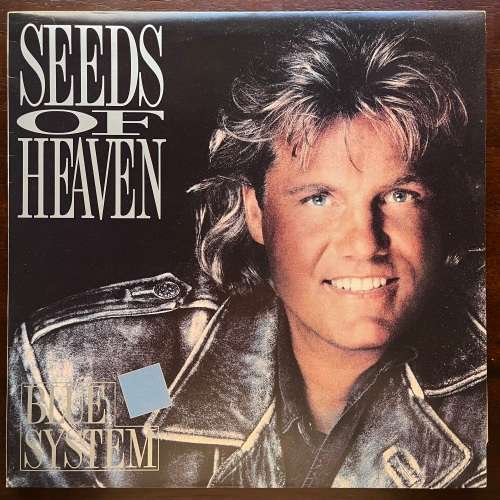 Blue System - Seeds of Heaven Vinyl LP 1991 South African Press Modern Talking *
