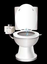 Aqua Bidet Personal Wash Station