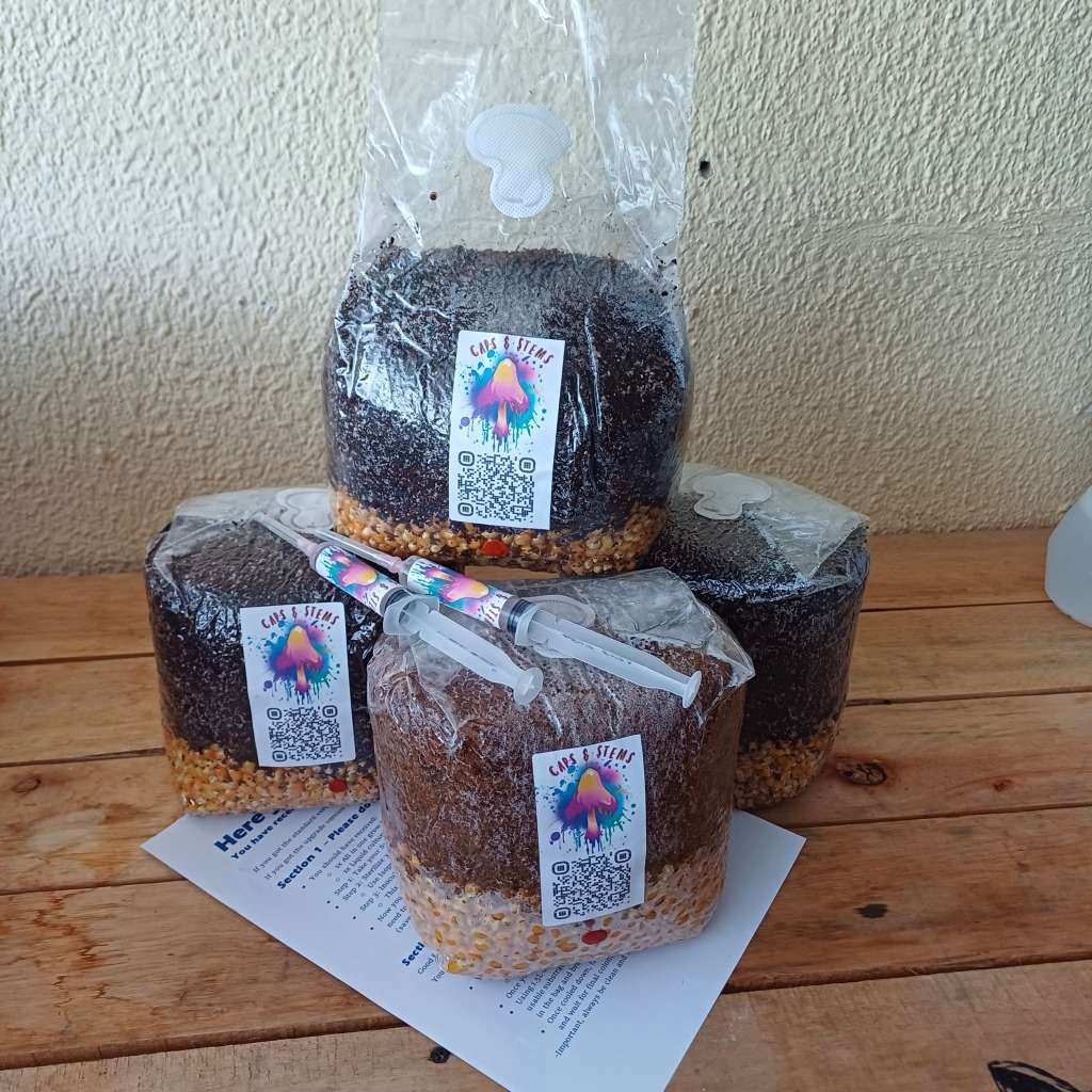 All in one mushroom grow kit