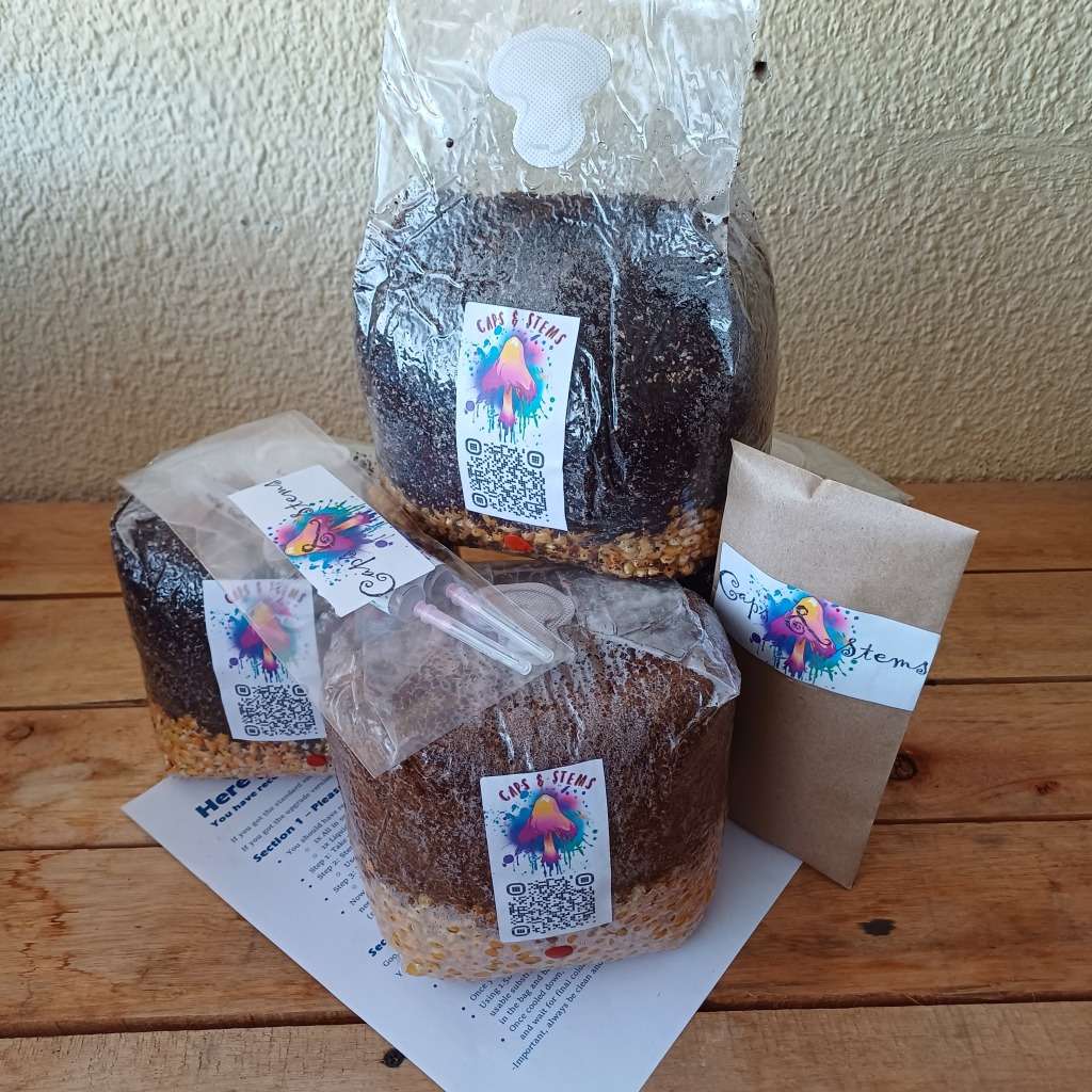 All in one mushroom grow kit