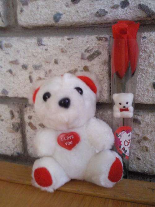 Red and White i love you small teddy bear
