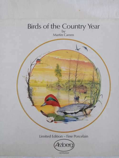 ARZBERG BIRDS OF THE COUNTRY YEAR Plate  JANUARY LESSER SPOTTED WOODPECKER