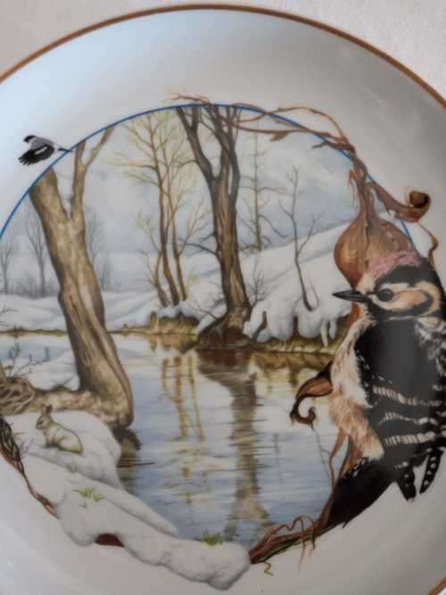 ARZBERG BIRDS OF THE COUNTRY YEAR Plate  JANUARY LESSER SPOTTED WOODPECKER