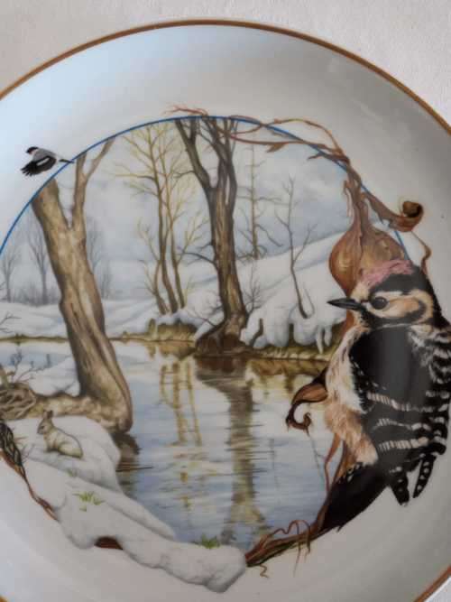 ARZBERG BIRDS OF THE COUNTRY YEAR Plate  JANUARY LESSER SPOTTED WOODPECKER