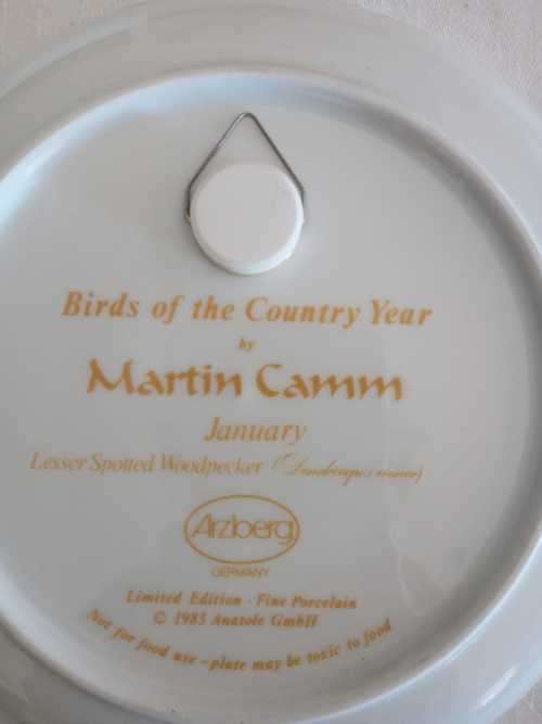 ARZBERG BIRDS OF THE COUNTRY YEAR Plate  JANUARY LESSER SPOTTED WOODPECKER