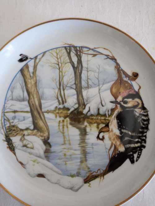 ARZBERG BIRDS OF THE COUNTRY YEAR Plate  JANUARY LESSER SPOTTED WOODPECKER