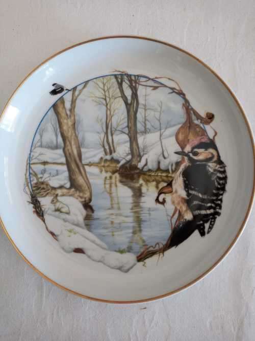 ARZBERG BIRDS OF THE COUNTRY YEAR Plate  JANUARY LESSER SPOTTED WOODPECKER