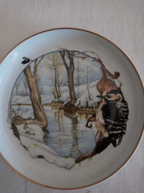 ARZBERG BIRDS OF THE COUNTRY YEAR Plate  JANUARY LESSER SPOTTED WOODPECKER