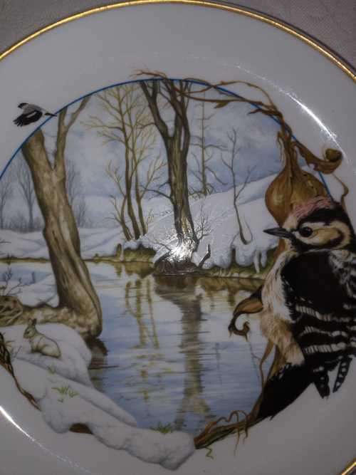 ARZBERG BIRDS OF THE COUNTRY YEAR Plate  JANUARY LESSER SPOTTED WOODPECKER