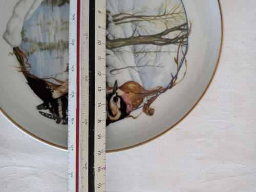 ARZBERG BIRDS OF THE COUNTRY YEAR Plate  JANUARY LESSER SPOTTED WOODPECKER