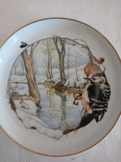 ARZBERG BIRDS OF THE COUNTRY YEAR Plate  JANUARY LESSER SPOTTED WOODPECKER