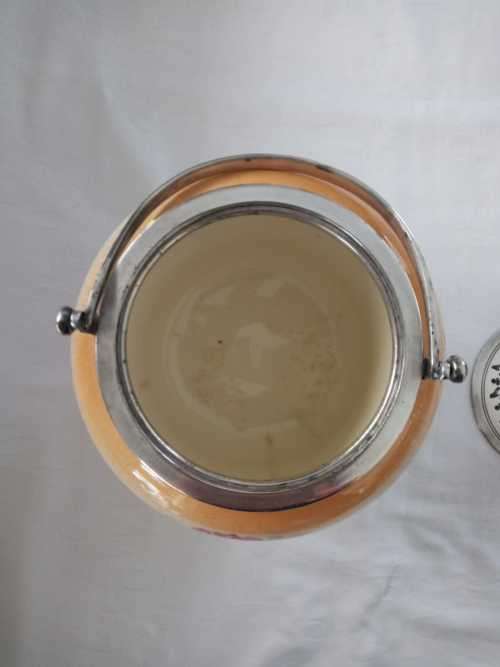 ANTIQUE DEVON WARE BISCUIT BARREL