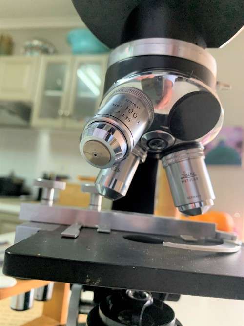 Leica / Ernst Leitz Wetzlar Microscope