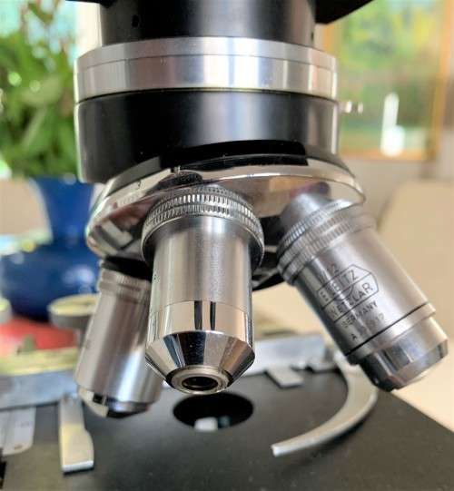 Leica / Ernst Leitz Wetzlar Microscope