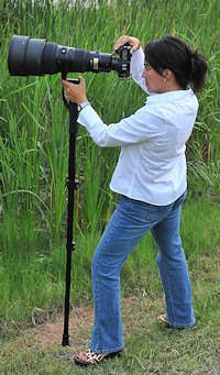 Manfrotto 679B Monopod Black for the photographer in as new condition.