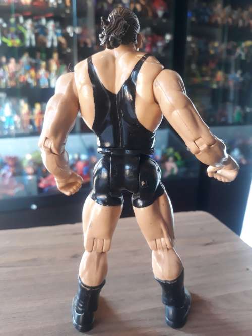 WWE 1999 Rob Van Dam Wrestling Figure Jakks Pacific
