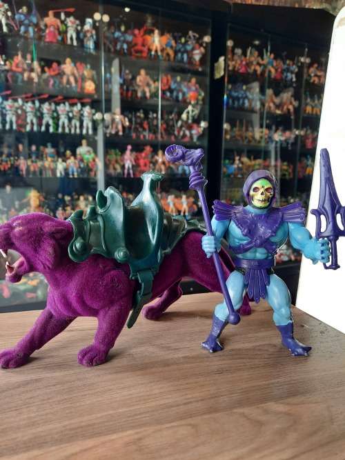 1981 Complete Skeletor And Panthor of He-Man Masters of the Universe #811 (MOTU) Vintage Figure