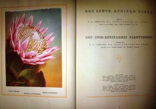 Our South-African Flora / Ons Suid-Afrikaanse Plantegroei