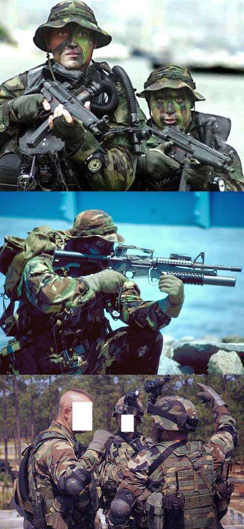 FSBE LBV Load Bearing Molle Assault Vest - US Army Woodland Camo