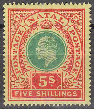 NATAL 1908 KEVII POSTAGE-POSTAGE 5 SHILLING SACC 143 VERY FINE LMM. C/V R550