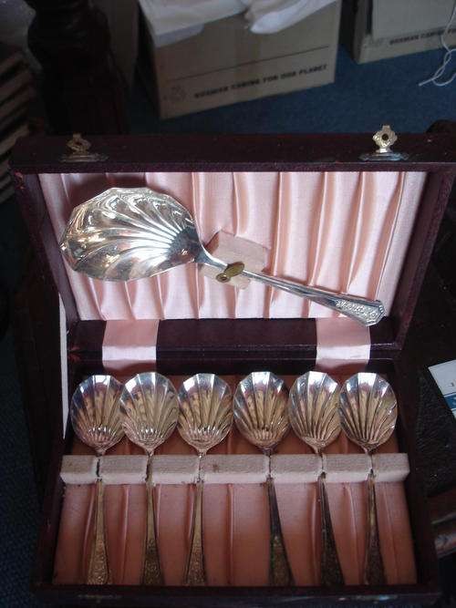 PRETTY BOXED SATE OF FRUIT SPOONS AND SERVER